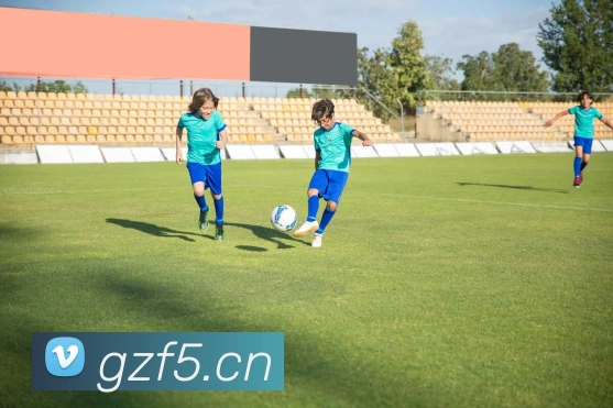 开云官方登录APP 高清赛事图